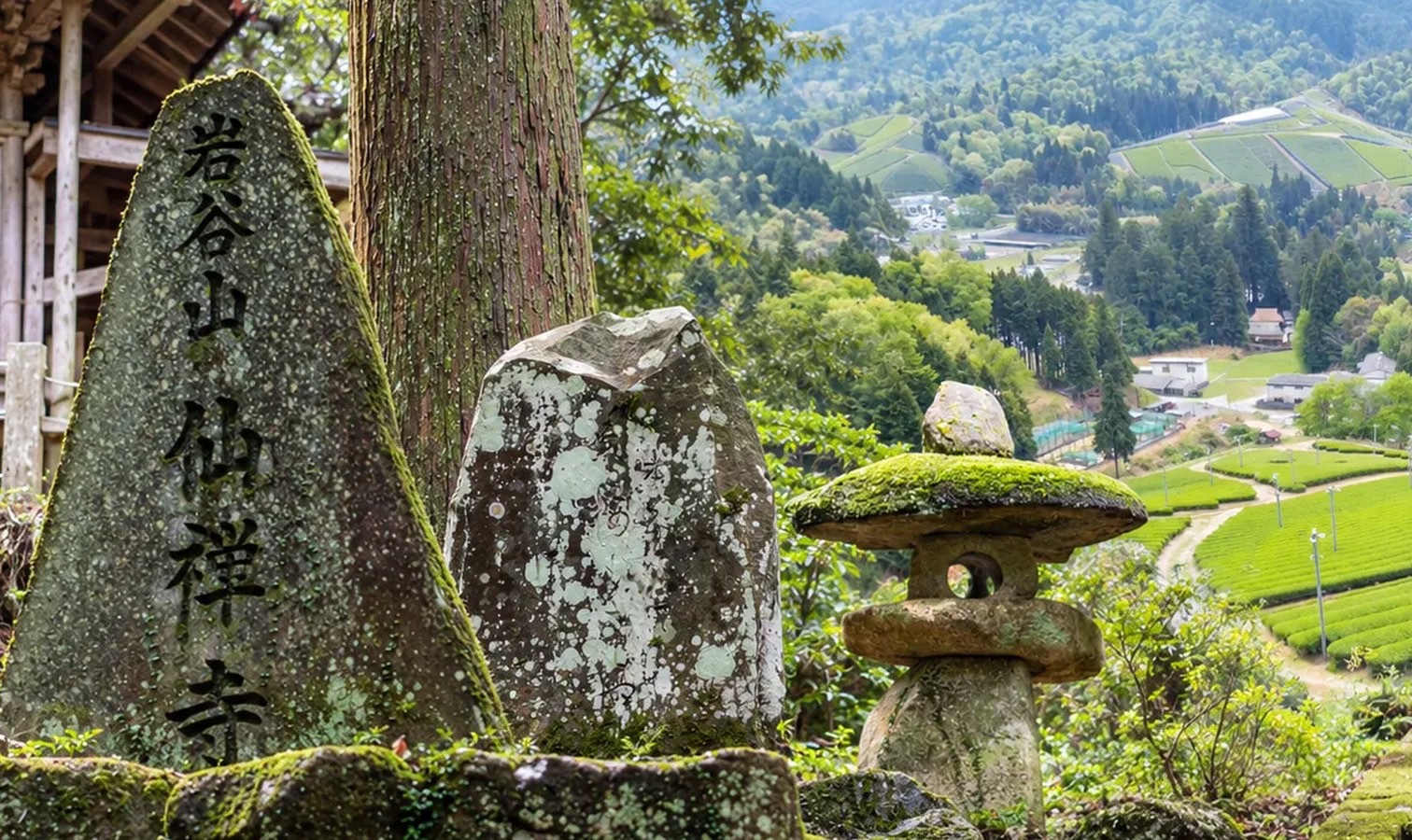 岩谷山 仙禅寺の石碑と朝宮の茶畑